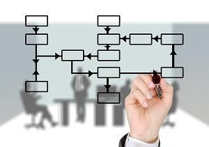 Estrutura das organizações